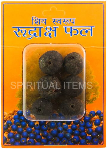 Rudraksha Fruit Standard, Packaging Type : Brown for Religious