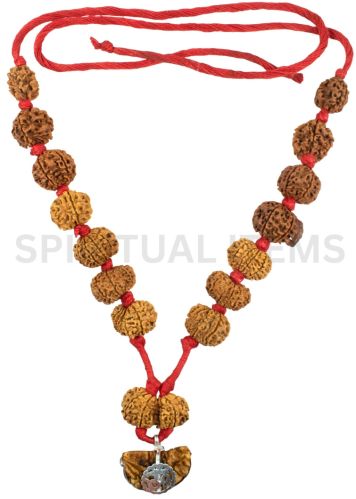 Rudraksha Sarvasiddhi Kantha Mala Standard, Packaging Type : Brown