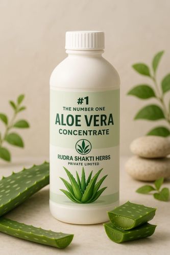 Aloe Vera Concentrate, Packaging Type : Bottle