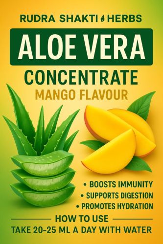 Mango Aloe Vera Concentrate, Packaging Type : Bottle