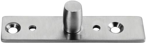 Polished Stainless Steel Patch Point Ozone Top Pivot, Color : Silver