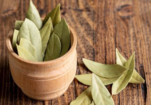 Bay Leaf, Color : Green for Cooking, Seasoning