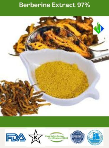 Berberine Extract HCL 97%, Color : Yellow, Packaging Type : Drum