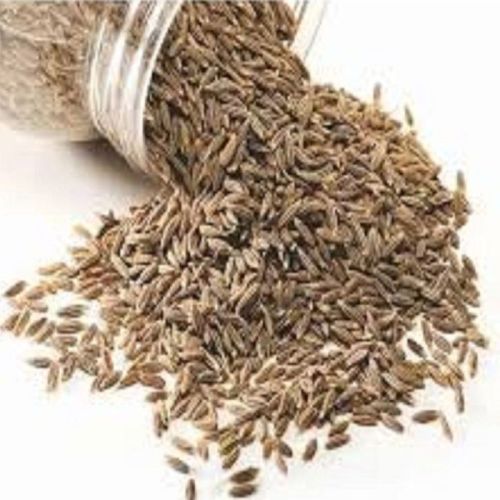 Organic European Quality Cumin Seeds Dried