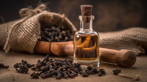 Organic Clove Essential Oil, Brand Name : Sparsa for Food Flavour