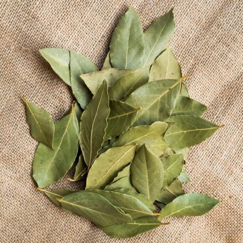 Dried Bay Leaves, Color : Green for Cooking