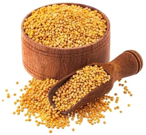 Organic Yellow Mustard Seeds Raw, Grade Standard : Food Grade