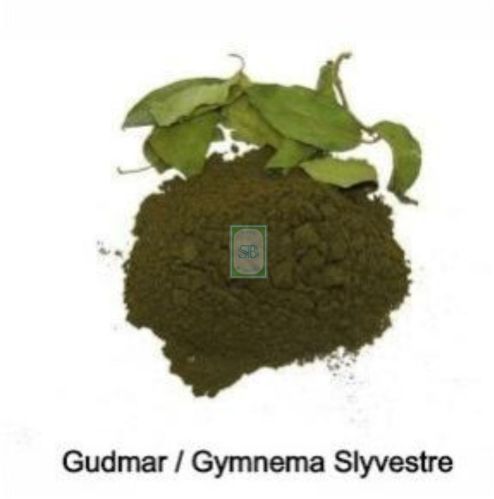 Gymnema Sylvestre Powder, Packaging Size : Lose, Purity : 100%