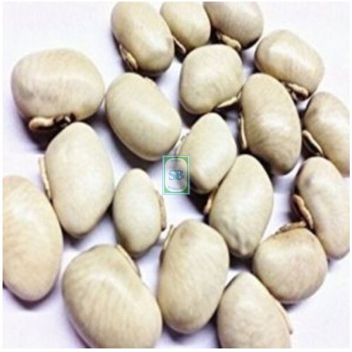 Mucuna Pruriens Seeds, Grade : Medicinal, Packaging Type : Bag