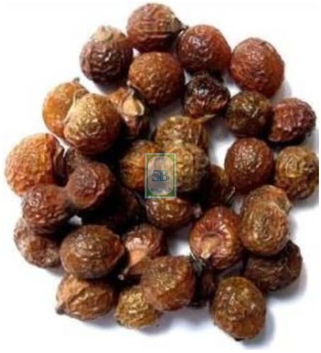 Dried Sapindus Mukorossi, Packaging Type : PP Bags, Purity : 100%