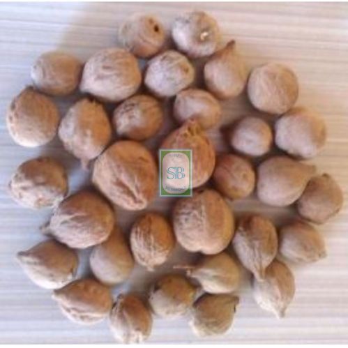 Natural Terminalia Bellirica Nuts, Packaging Type : Bag