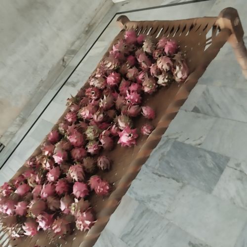 Organic Fresh Dragon Fruit, Color : Red, Packaging Type : Paper Box