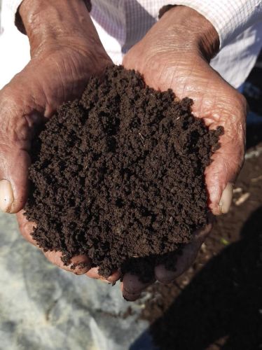 Varmicompost Organic Vermi Compost, Purity : 99%