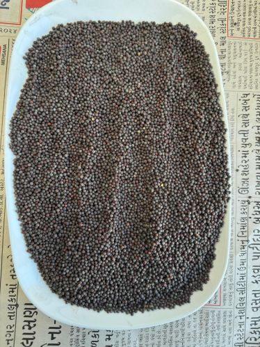 Mustard Seeds, Color : Black