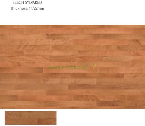 Polished Juncker Beech Sylvared Classic Hardwood Floors, Length : 6ft