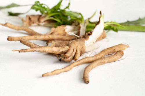 Cichorium Intybus Root, Packaging Type : Brown