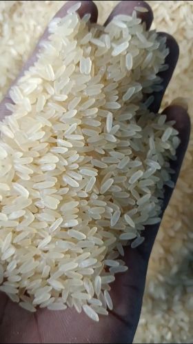 IR 36 Rice