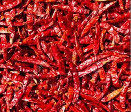 Natural Syngenta 2043 Dry Red Chilli, Packaging Size : 25Kg
