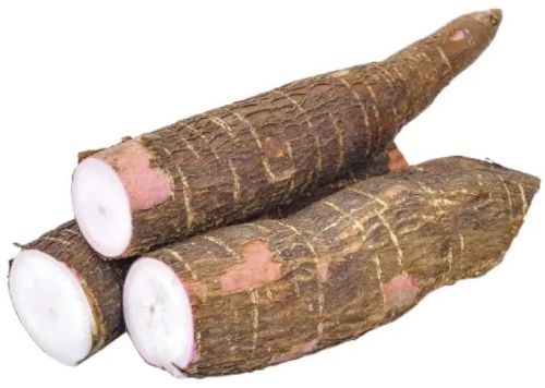 Fresh Tapioca, Variety Available : Sweet Potatoes