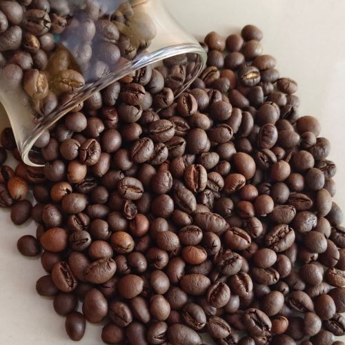 Roasted Robusta Coffee Beans, Packaging Type : Vacuum-sealed Bag