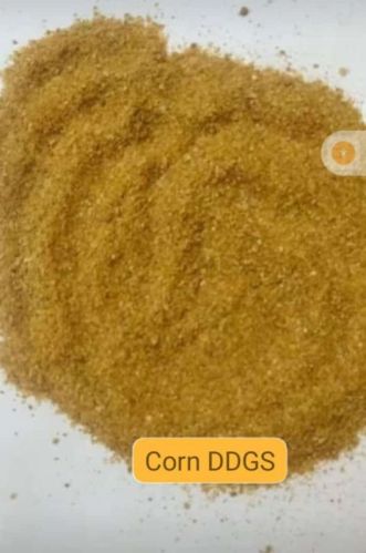 Distillers Dried Grains Soluble DDGS, Color : Yellow