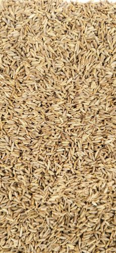 Natural cumin seed, Packaging Size : 25Kg, 50Kg, 25kg, 50kg 9%