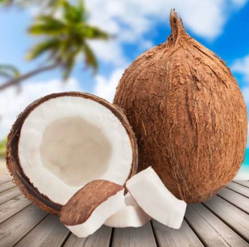 Whole Soft Natural Fresh Brown Coconut, Packaging Type : Gunny Bag