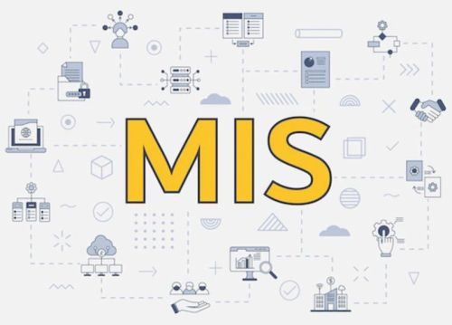 MIS Executive Remote Service