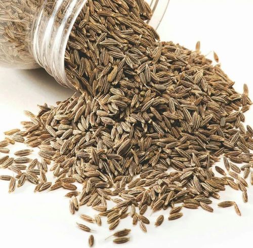 Cumin Seeds For Cooking, Seasoning