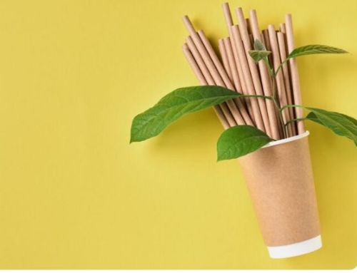 Bamboo Straw, Shape : Round, Packaging Type : Plastic Packet