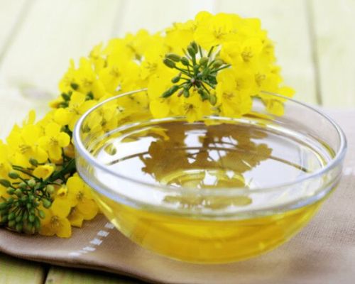 Rapeseed Oil, Color : Yellow, Packaging Size : 20 Litres