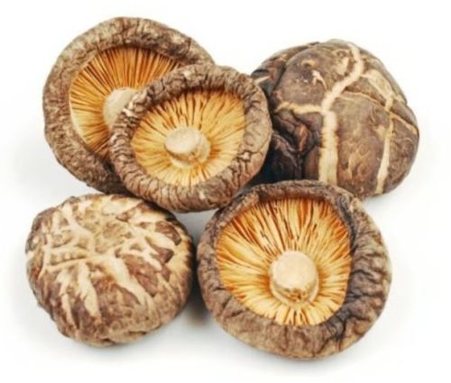 Dried Shiitake Mushroom, Packaging Type : Dark Brown