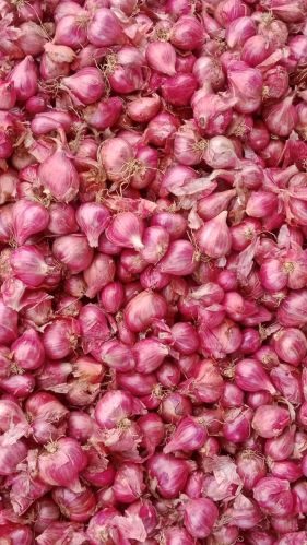 Shallots for Food