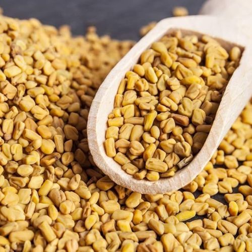Organic fenugreek seeds, Seed Type : Natural for Cooking