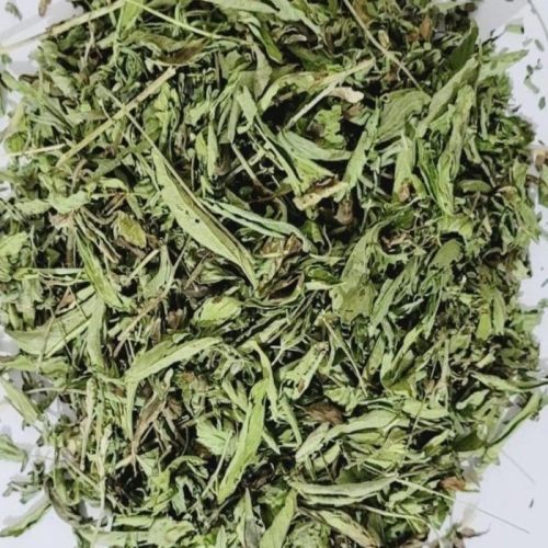 Organic Stevia Leaves, Color : Green Dried for Medicinal