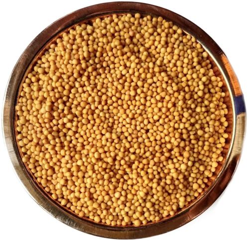 Organic Yellow Mustard Seeds Raw for Cooking