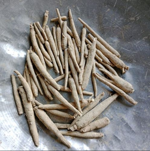 Ashwagandha roots