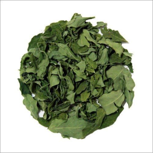 Dried Moringa Leaves, Color : Green for Tea, Cooking, Smoothies