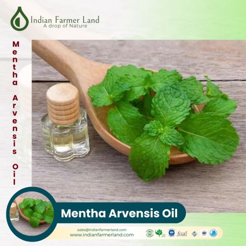 Mentha Arvensis Oil, Packaging Type : Pale Yellowish, Purity : 99%