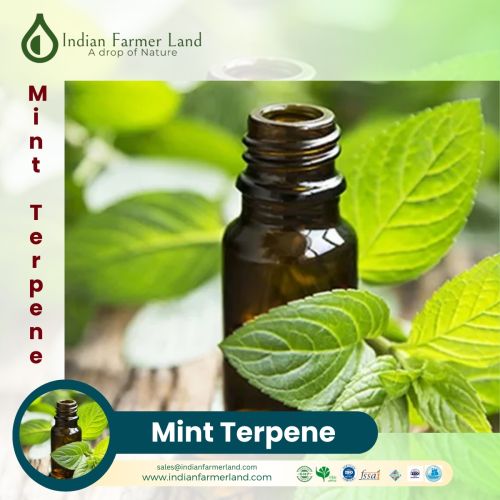 Mint terpene oil, Packaging Type : Bottles