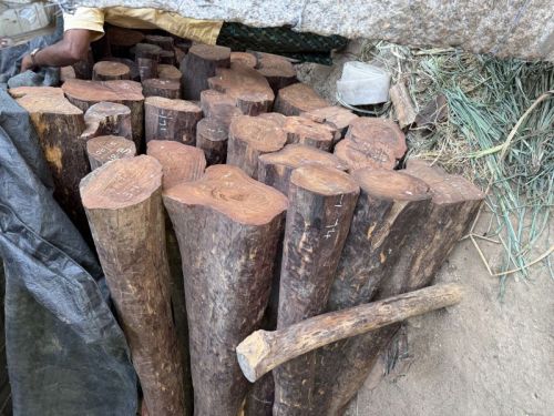 Polished Red Sandal Wood