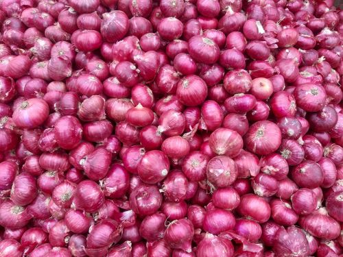 Fresh Red Onion, Packaging Size : 25-50kg, Form : Whole