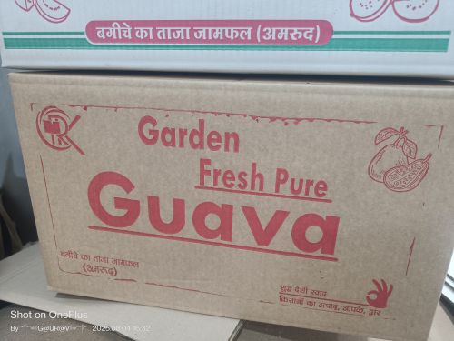 Printed Paper Fruit Packaging Corrugated Boxes