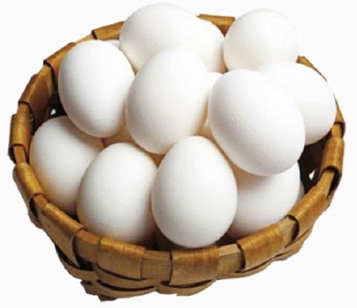White Chicken Eggs for Human Consumption