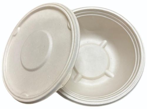 Areca Palm Leaf Round Food Container