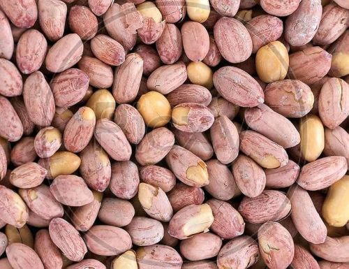 607 Kcal Roasted Peanuts, Packaging Type : Plastic Bag