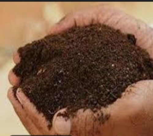 Cow dung for Agricultural Religious