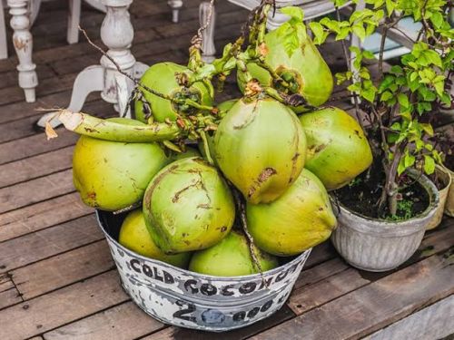 Coconut Water 6-8 inch, Packaging Type : Green for Usage