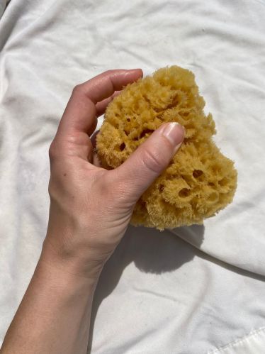 Sea Sponges, Thickness : 6 - 8 Inch for Super Stores