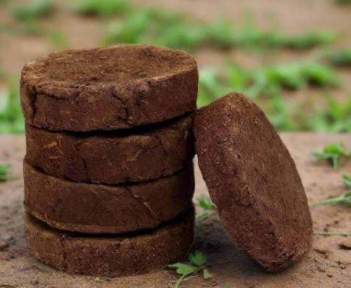 Cow Dung Cake, Packaging Type : Brown